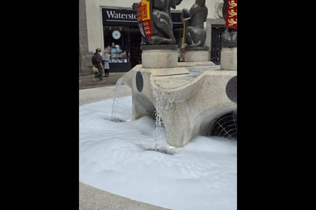 Queen Elizabeth Fountain in Portsmouth city centre already has bubbles in it