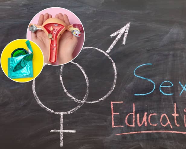 The RSE curriculum covers a wide range of topics (Image: National World/Adobe Stock)