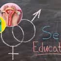 The RSE curriculum covers a wide range of topics (Image: National World/Adobe Stock)