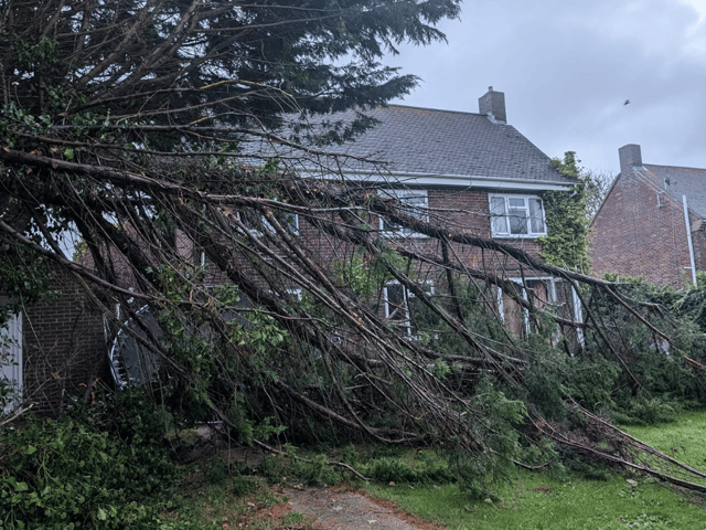 A "tornado" struck Thorney Island last night, bringing down several trees and a trampoline. One resident described what happened as extreme gales hit her house.