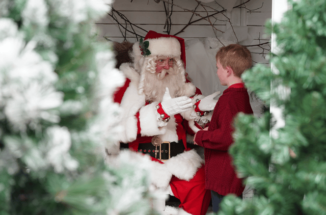 Dobbies Garden Centres is unveiling a magical line up of festive experiences for all the family to enjoy this Christmas at its Havant store, including the much-loved Grotto which is back with a brand-new look. 
