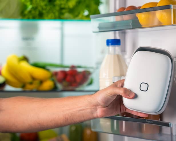 The Shelfy claims to be able to make food last up to 12 days longer