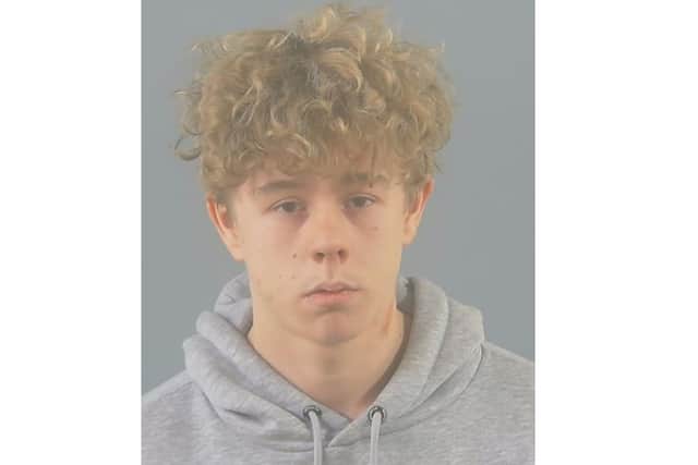 James Thomas Hearn, of Bracken Lane, has been sentenced for multiple sexual offences against two girls in Southampton.