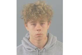 James Thomas Hearn, of Bracken Lane, has been sentenced for multiple sexual offences against two girls in Southampton.