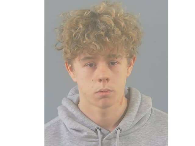 James Thomas Hearn, of Bracken Lane, has been sentenced for multiple sexual offences against two girls in Southampton.