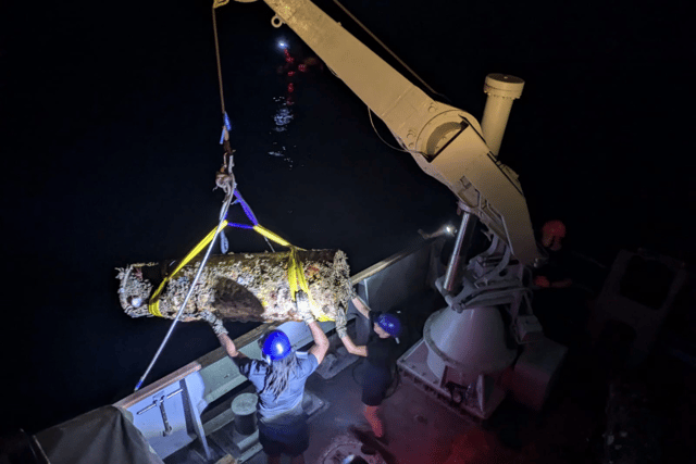 HMS Middleton has been carrying out mine disposal exercises in the Arabian Gulf.