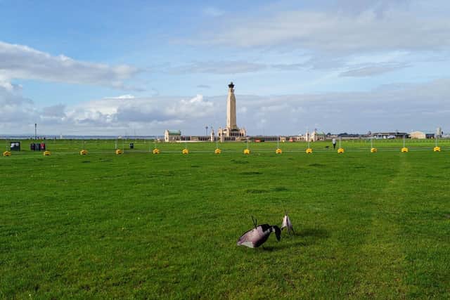 Brent Geese area in Southsea Common, Portsmouth on 23rd October 2024