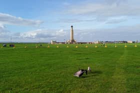 Brent Geese area in Southsea Common, Portsmouth on 23rd October 2024