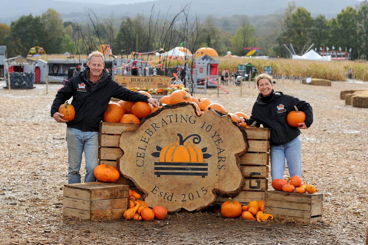 Rogatade Rogate Pumpkin Patch Halloween fun returns - in pictures
