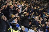 Pompey fans backed there team as ever in the fight for Championship survival, as 20,262 turned out for the clash with Sheffield Wednesday.