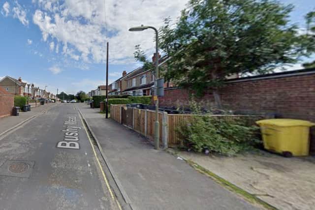 Some of the thefts took place in Bushey Mead, Widley, Waterlooville.