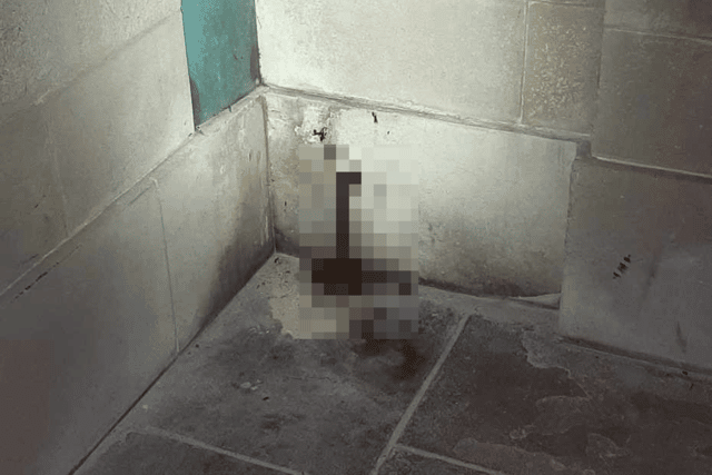 An army veteran in Portsmouth was left disgusted after someone had pooed and urinated on the Naval Memorial in Clarence Esplanade, Southsea.