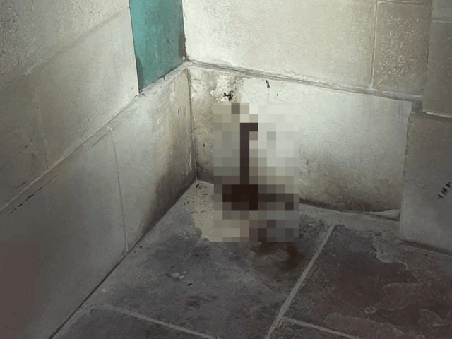 An army veteran in Portsmouth was left disgusted after someone had pooed and urinated on the Naval Memorial in Clarence Esplanade, Southsea.