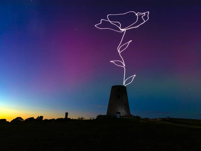Claire Eason's giant light poppy.