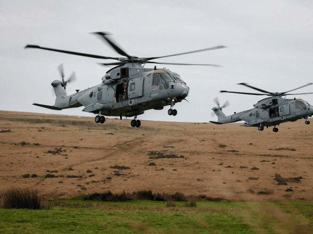 Merlin Mk4 helicopters from 846 Naval Air Squadron arrive at the camp in Devon ahead of the gruelling exercise.
