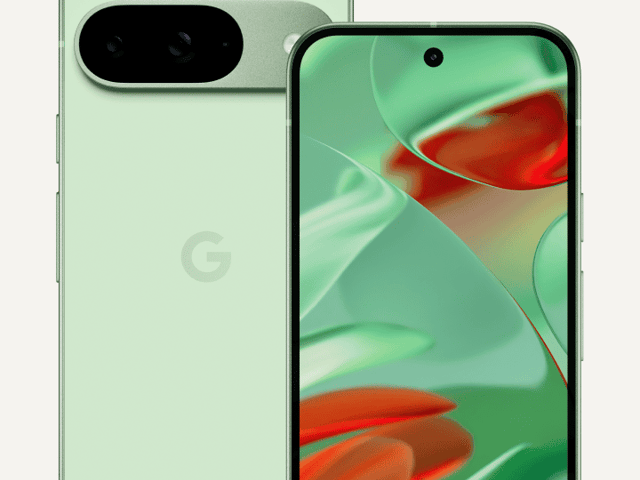 The Google Pixel 9