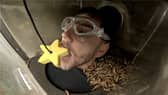 Dean McCullough takes on ‘Sinister Sarcophagus’ Bushtucker Trial.