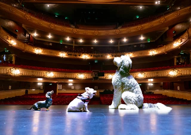 Search for a Doggie Star at The Kings Theatre