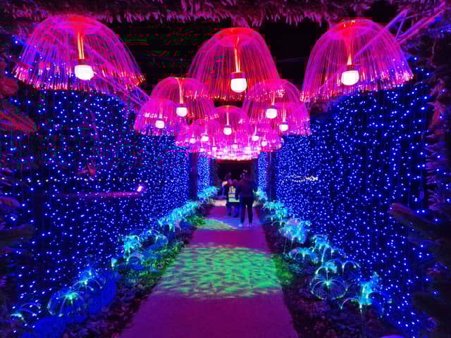 Jellyfish in the 'water' zone of Glow Marwell 2024