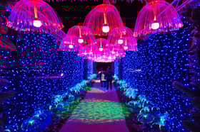 Jellyfish in the 'water' zone of Glow Marwell 2024