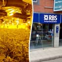 Police discover £500k cannabis factory in old high street bank.