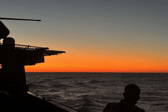 HMS Dauntless carried out a major Nato exercise alongside France, Spain and the Netherlands.