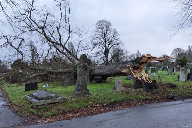 A huge tree has fallen in Kingston Cemetery, Fratton, causing damage to headstones.