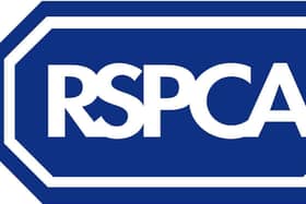 The RSPCA said an investigation into a dog being hit and kicked in Portsmouth has concluded.