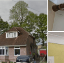 Trees are causing cracks to 20 Southmead Road in Fareham