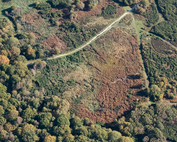 An aerial view of the Browndown First World War practice trenches in Gosport, Hampshire. Practice trenches from the First World War, a "bungalow maternity ward" and the tomb of a woman believed to have lived to 119 years old are among the places that have been added to the National Heritage List for England by Historic England.