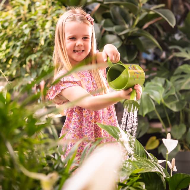 Dobbies Garden Centre in Havant is offering free houseplant workshops for young gardeners such as Little Seedlings Ambassador Ella (5).