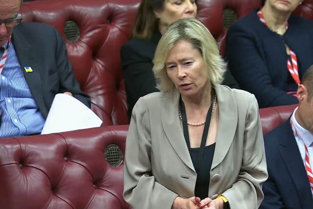 Baroness Smith of Newham, Liberal Democrat, said Nato is looking at potentially introducing a three per cent GDP defence spending target.