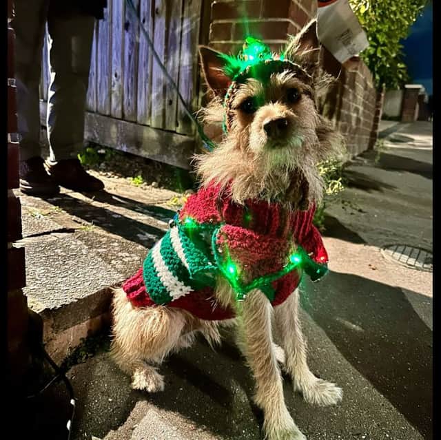 Whirly on set of the McDonald's Christmas advert