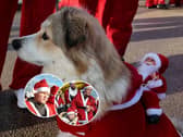 Shots! TV meet the festive runners at Blackpool Santa Dash, in a Christmas Special of Unconventional Brits