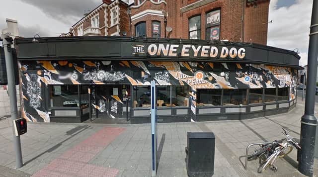 One Eyed Dog