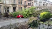 A huge tree pulled down power lines and smashed a car when it crashed down in Glasgow during Storm Éowyn. 