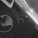Chilling footage shows how Kyle Camp carried out his 'reign of terror' across Greater Manchester - as he bragged about his stolen cars on social media.