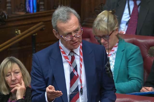 Lord Houghton of Richmond, crossbench peer, said the government was in "complete delusion" over the capabilities of the Royal Navy, Army and RAF during a session in parliament.
