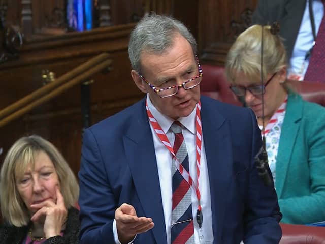 Lord Houghton of Richmond, crossbench peer, said the government was in "complete delusion" over the capabilities of the Royal Navy, Army and RAF during a session in parliament.