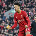 Kaide Gordon is poised to join Pompey from Liverpool on loan for the remainder of the season