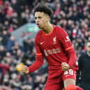 Kaide Gordon is poised to join Pompey from Liverpool on loan for the remainder of the season