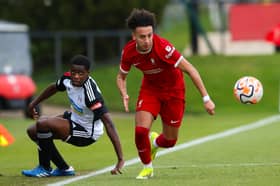 John Mousinho is excited over the promise shown of Liverpool winger Kaide Gordon. Picture: Liverpool FC/Liverpool FC via Getty Images