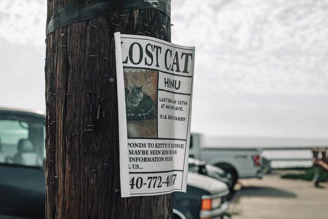 Over 25,000 pets have been reported missing since the beginning of 2023, with estimates showing that six pets vanish every day.