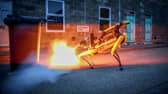 Bomb-defusing robot dog.