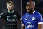 Paddy Lane will play no part in the remainder of Pompey's season. Yakou Meite is doubtful for Cardiff City.