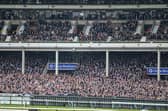 Four racing fans will have the chance to jet off to Benidorm and watch the famous horse racing event