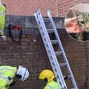 A cat has been rescued after getting trapped in between two walls. 