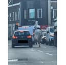 Horrifying footage has shown a frantic horse running in North End traffic before being hit by a car. 