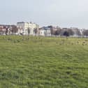 Brent Geese on Southsea Common