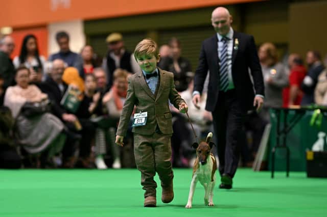 Crufts youngest dog handler Freddie Osborne